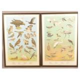 1965 Ned Smith PA Game Commission Prints.