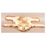 Wolf Taxidermy Rug Mount.