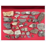 Perry County, PA Devonian Age Fossils