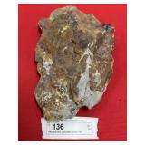 Partial Wanneria Trilobite (Lancaster County, PA)