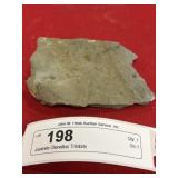 Juvenile Olenellus Trilobite