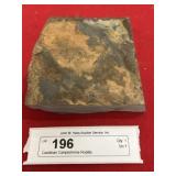 Cambrian Camptostroma Roddyi Fossil