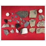 PA Fossil Ferns and Assorted Fossils