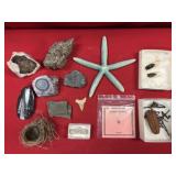 Peruvian Pyrite, Crystals, Polished Fossils, etc.