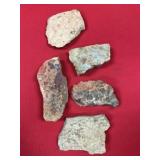 (5) Devonian Age Seashell Fossils