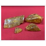 (4) Pieces of Fossil Amber with Termites
