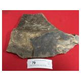 Partial Orthoceras (Perry County, PA) Fossil