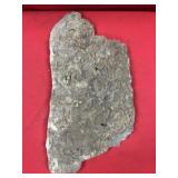 Perry Co. (PA) Sea Floor Plate