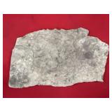 (2) Devonian Sea Floor Plates in Red Shale