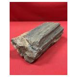 Petrified Wood (Western U.S.)