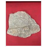 Devonian Sea Floor Plate