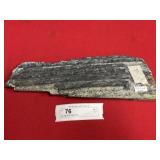 St. Clair (PA) Fossil Form