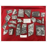 (20+) St. Clair (PA) Fossil Fern Forms