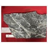 St. Clair (PA) Fossil Form