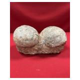 (2) Dinosaur Eggs