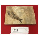 (2) Fossil Fish (WY)