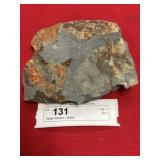 Partial Olenellus Trilobite