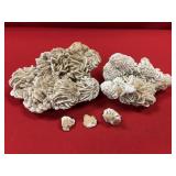 (2) Selenite "Desert Roses" (Sonoran Desert)