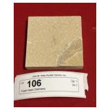 Fossil Insect (Germany)