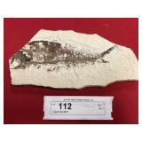 Fossil Fish (WY)
