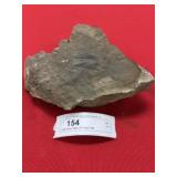 Large Seven Stars, PA Fossil Plate