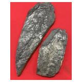 (2) Carbon County, PA Fossil Ferns