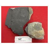 (2) Fossil Clams (Perry County, PA)