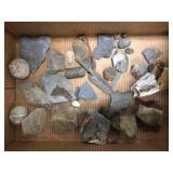 PA and Assorted Fossils