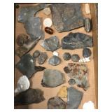 Misc. Fossils and Minerals