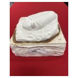 Plaster Cast of Phacops Trilobite