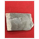 Olenellus Trilobite Juvenile Fossil