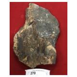 Negative Olenellus Trilobite (Lancaster, PA)