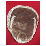 Composite Moroccan Trilobite