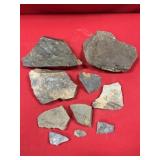 Partial Olenellus Trilobites