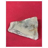 Starfish (Swatara Gap, PA) Fossil