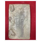 Cast of Human Footprint