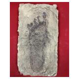 Cast of Human Footprint