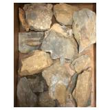 PA and Assorted Fossils