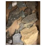 PA and Assorted Fossils