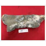 Partial Large Waneria