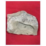 Fossil Insect Larva (China)