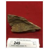 Olenellus Trilobite (Lancaster, PA)