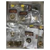 (18) Gold-Plated State Quarters