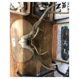 (2) Pairs of Antlers