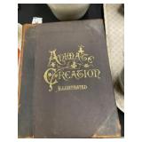 (2) Volumes Animate Creations