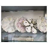Limoges and Unsigned Oyster Plates