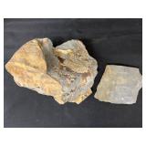 (2) OIenellus Trilobites (Lancaster Co., PA)