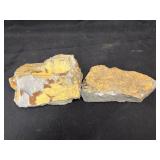 (2) Olenellus Trilobites (Lancaster Co., PA)