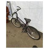 Raleigh Multi Speed Bicycle