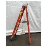 Werner 6 ft Fiberglass Step Ladder